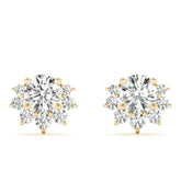 Yellow gold Cluster Round Diamond Stud Earrings with White Gold Band and Four-Prong Setting