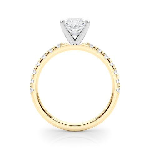 Yellow gold Princess Solitaire Pavé Band with Four-Prong Setting